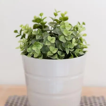 Holiday home Maison De Charme 3 Remparts De *