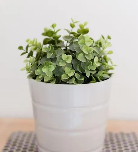 度假居 Maison De Charme 3 Remparts De *