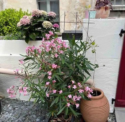 度假居 Maison De Charme 3 Remparts De